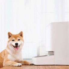 (해외직구)MIJIA 반려동물 자동급식기 XWPF01MG